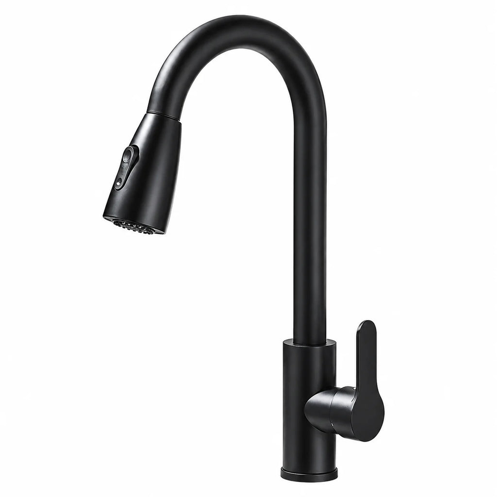 Robinet de Cuisine Douchette noir mat